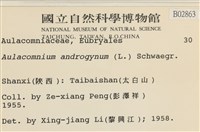 登錄號:B00002863藏品圖，第2張