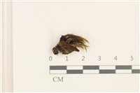 登錄號:B00002895藏品圖，第1張
