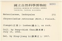 登錄號:B00002921藏品圖，第2張