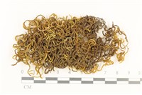 登錄號:B00002921藏品圖，第1張