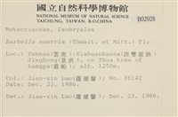 登錄號:B00002928藏品圖，第2張