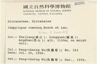 登錄號:B00002950藏品圖，第2張