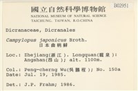 日本曲柄蘚藏品圖，第2張