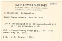 登錄號:B00002952藏品圖，第2張