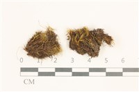 登錄號:B00002952藏品圖，第1張