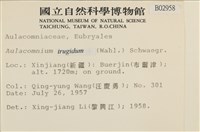 登錄號:B00002958藏品圖，第2張