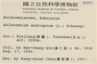 登錄號:B00002967藏品圖，第2張