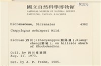 登錄號:B00002979藏品圖，第2張
