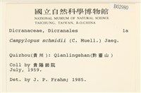 登錄號:B00002980藏品圖，第2張