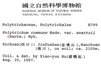 登錄號:B00002983藏品圖，第2張