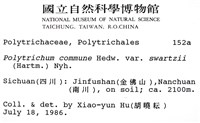 登錄號:B00002984藏品圖，第2張