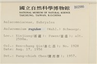 登錄號:B00002986藏品圖，第2張