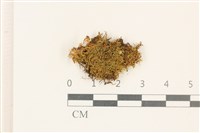 登錄號:B00002989藏品圖，第1張