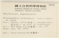 毛羽蘚藏品圖，第2張