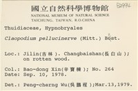 登錄號:B00002994藏品圖，第2張