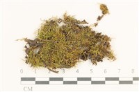 登錄號:B00002994藏品圖，第1張