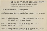 登錄號:B00002998藏品圖，第2張