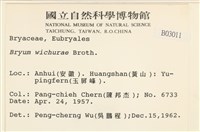 登錄號:B00003011藏品圖，第2張