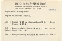 登錄號:B00003012藏品圖，第2張