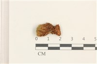 登錄號:B00003016藏品圖，第1張