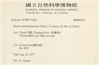 登錄號:B00003023藏品圖，第2張