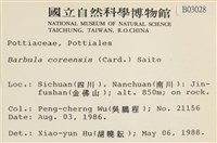 登錄號:B00003028藏品圖，第2張