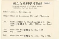 登錄號:B00003051藏品圖，第2張