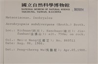 大灰氣蘚藏品圖，第2張