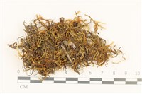 登錄號:B00003055藏品圖，第1張