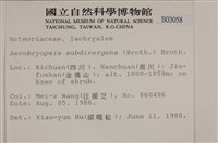 大灰氣蘚藏品圖，第2張