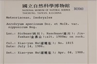 登錄號:B00003060藏品圖，第2張