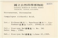 節莖曲柄蘚藏品圖，第2張