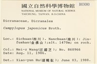 日本曲柄蘚藏品圖，第2張