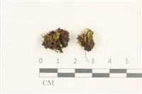 登錄號:B00003091藏品圖，第1張