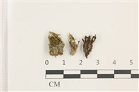 登錄號:B00003095藏品圖，第1張