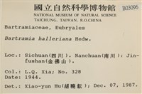 登錄號:B00003096藏品圖，第2張
