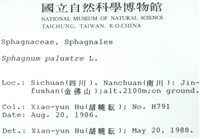 大泥炭蘚藏品圖，第2張