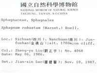 登錄號:B00003101藏品圖，第2張