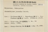 登錄號:B00003103藏品圖，第2張