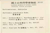 登錄號:B00003104藏品圖，第2張