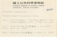 叢生真蘚藏品圖，第2張