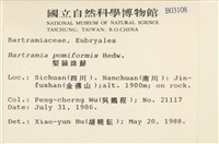 登錄號:B00003108藏品圖，第2張