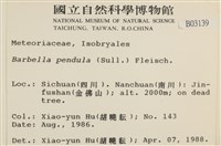 多疣懸蘚藏品圖，第2張