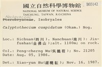 登錄號:B00003142藏品圖，第2張