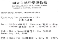 日本孔雀蘚藏品圖，第2張