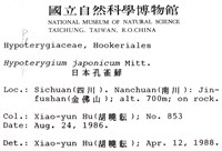 日本孔雀蘚藏品圖，第2張