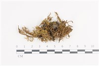 登錄號:B00003157藏品圖，第1張