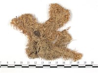 登錄號:B00003163藏品圖，第1張