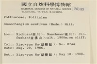 登錄號:B00003185藏品圖，第2張