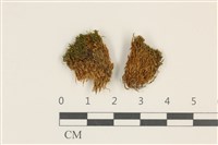 登錄號:B00003185藏品圖，第1張